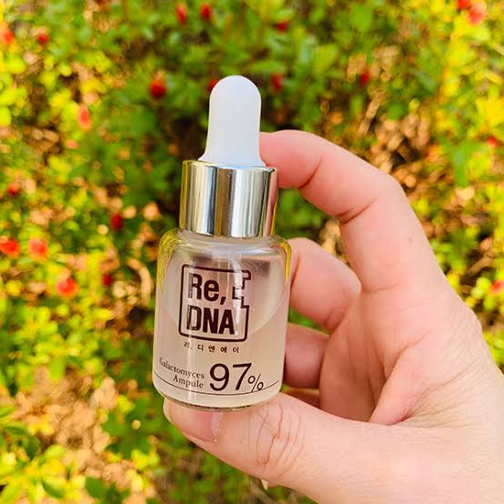 Galactomyces Ampule Stem Cell Essence 97%